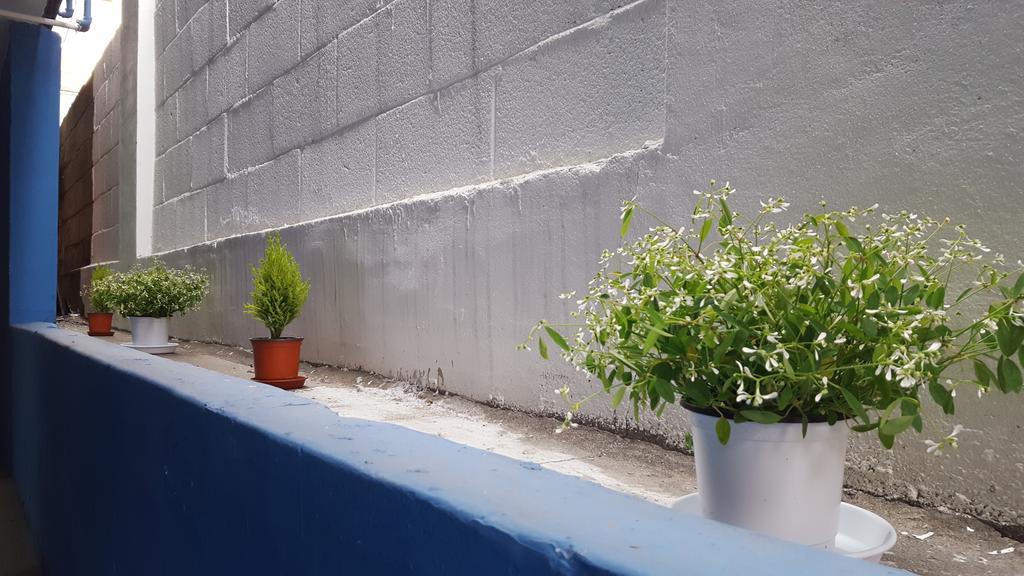 Seoul Forest Guesthouse Exterior foto